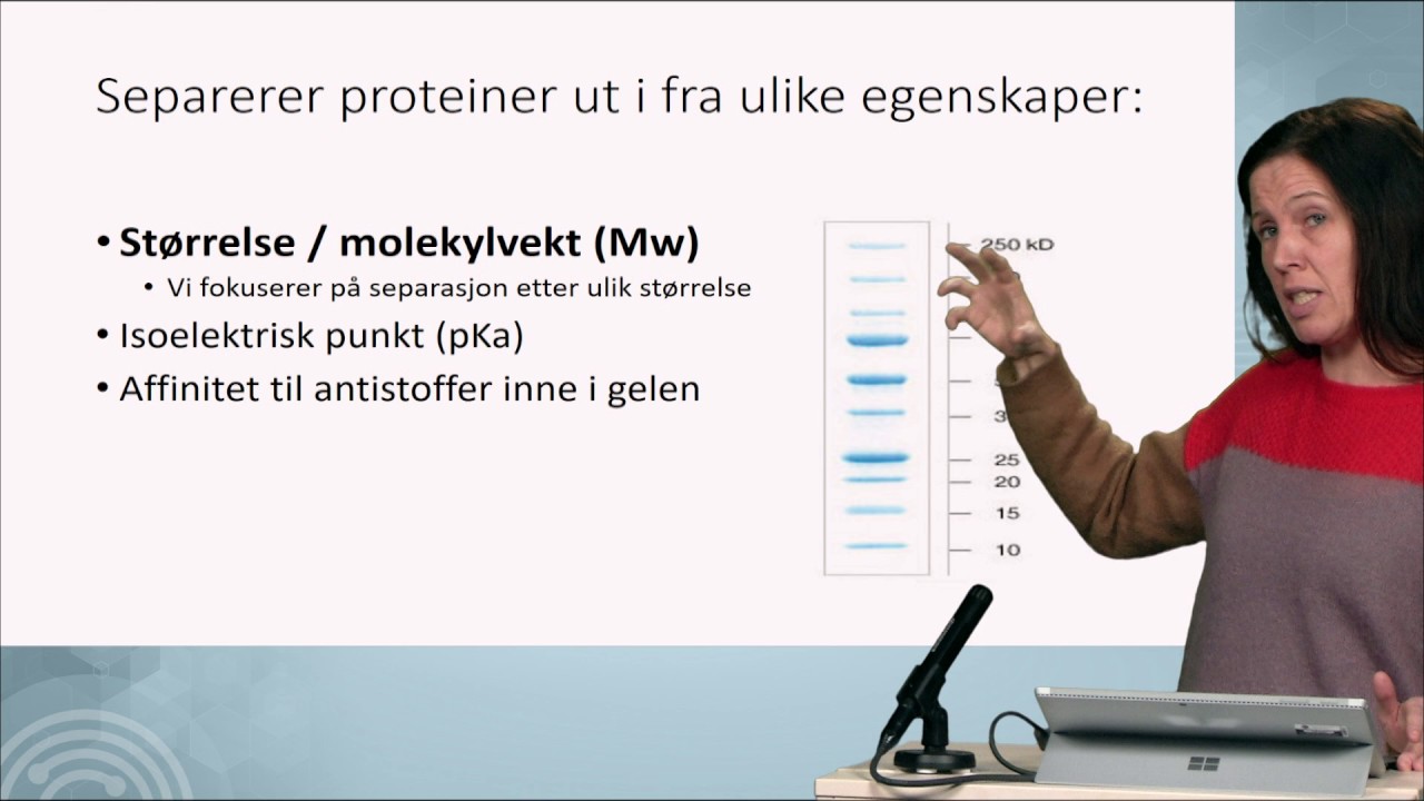 Kva er gelelektroforese?