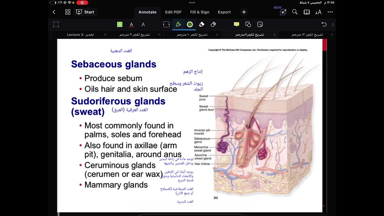 فارما ١ | تشريح نظري 11+12