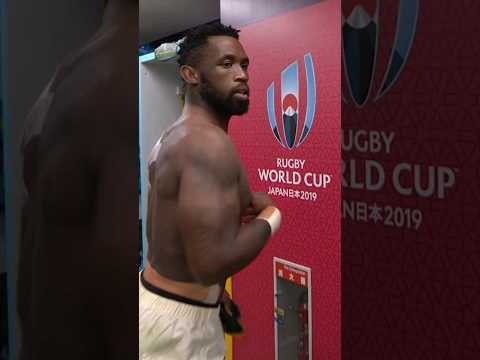 Rugby World Cup The Springboks Celebrates Southafrica Rugby 