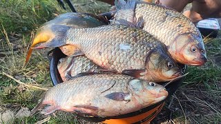 видео: Карасі КАБАНИ клюють ВІДРАМИ а за ними КОРОПИ, Рибалка по порядку картинка: Карасі КАБАНИ клюють ВІДРАМИ а за ними КОРОПИ, Рибалка по порядку