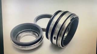 Fristam Seal GLRD FDS2 BCH-045 SIC-SIC-HNBR/C-TC-HNBR For Fristam Fds Double Screw Pump