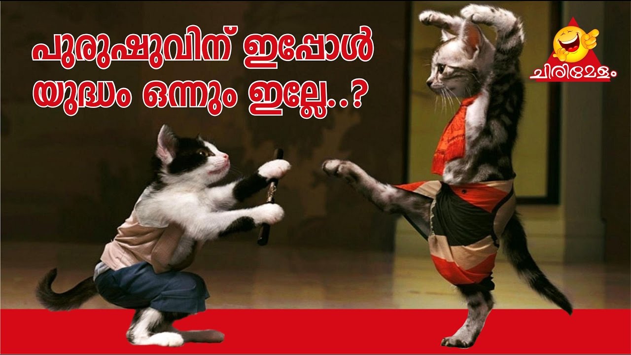 funny images malayalam 2017photo