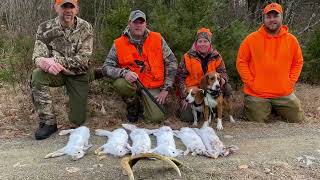 Snowshoe hare hunting in MAINE with BRIAR RUN GUIDE SERVICE