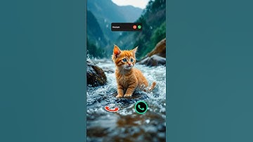 cat is calling #ringtone #smartphone #music #ringtones #song #iphone #cat #funnycallringto #callm