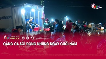 Cảng cá sôi động những ngày cuối năm