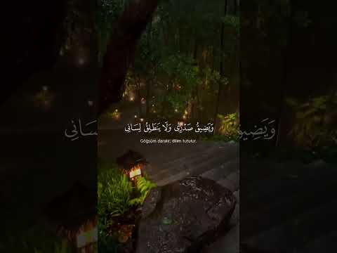 اكسبلور     لايك  