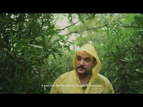 ნიკა წულუკიძე - Visit Batumi