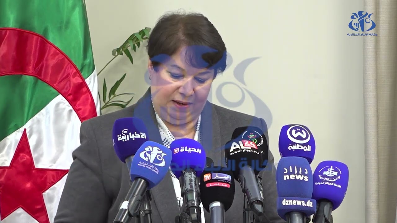 المجلس الوطني الاقتصادي والاجتماعي والبيئي ينظم ندوة علمية حول غارا جبيلات