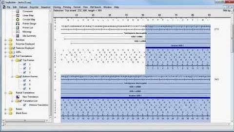 DNASTAR - Modifying the Genetic Code Used for Translation in SeqBuilder