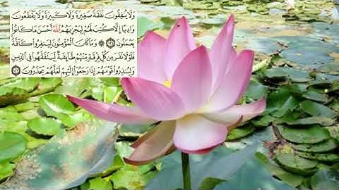 صفحة-206 page سعد الغامدي - -سورة التوبة -09--Le repentir (At-Tawbah) )