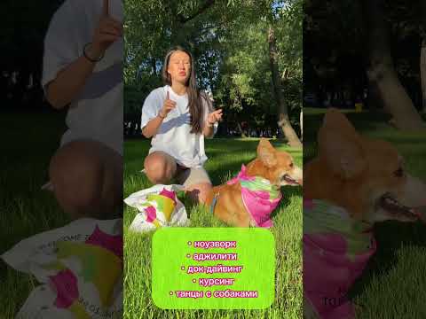 Самый хвостатый фестиваль от Petshop Days 🔥