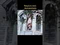 Real Vampiros Dracula Documenta su Transformation en vivo History