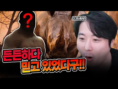 <strong>두두등장</strong>...  | 피파4