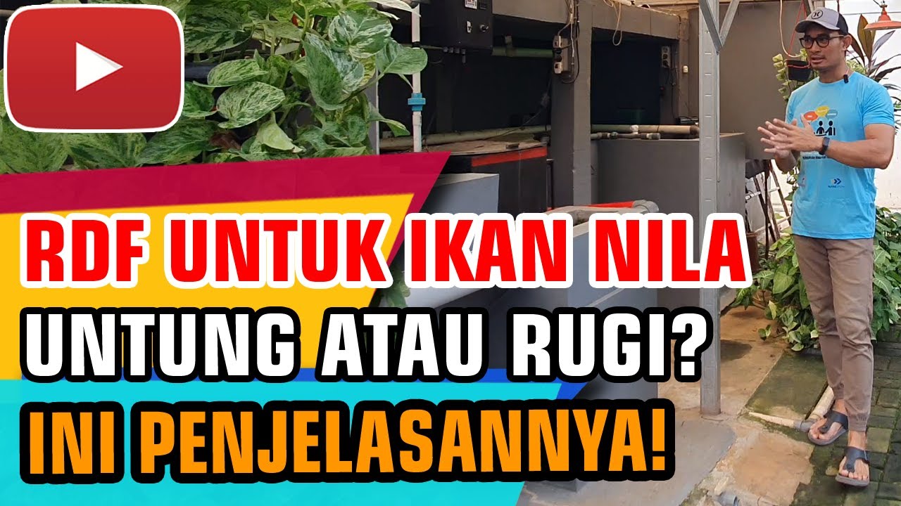 Budidaya Ikan Nila Dengan Sistem RAS - Manfaat RDF Untuk Sistem RAS ...