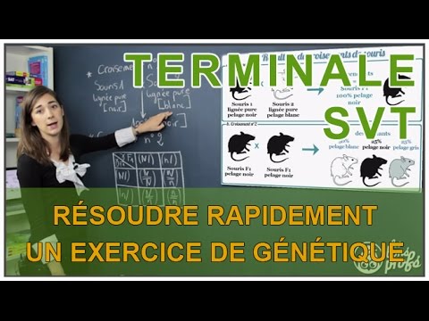 Vidéo: Comment Résoudre Les Problèmes Génétiques En Biologie