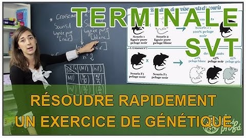 Quickly solve a genetics exercise - SVT Terminale S - Les Bons Profs