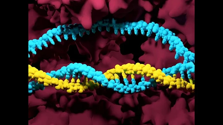 The Future of Genetic Medicine with Elizabeth McNa...