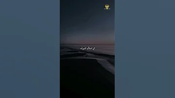 قلبي في الغياب متقطع عليك حالات واتس حزينه حالات اشتياق حالات نبيل اغنيه عايش في الضباب نبيل 