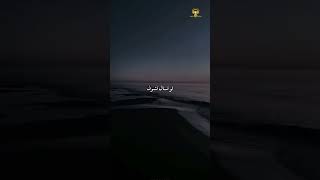 قلبي في الغياب متقطع عليك 💔 _ حالات واتس حزينه_حالات اشتياق _ حالات نبيل_اغنيه عايش في الضباب _#نبيل