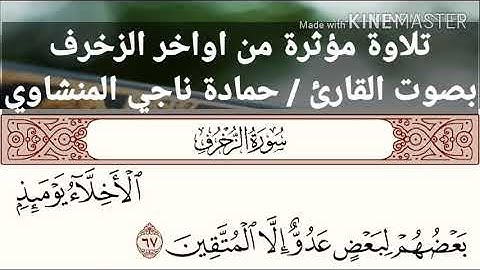 تلاوه مؤثره من أواخر الزخرف بصوت القارئ حمادة ناجي المنشاوي