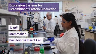 BioLegend Recombinant Proteins