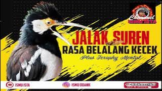 Jalak Suren Rasa Belalang Kecek