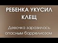 Ребенок заразился опасной инфекцией после укуса клеща