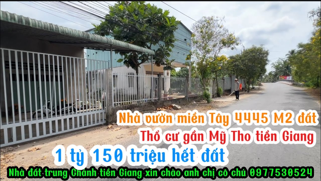 T.3227 giảm mạnh 1 tỷ150triệu ngôi nhà vườn miền Tây đường nhựa huyện lộ thổ cư gần thành phố Mỹ tho
