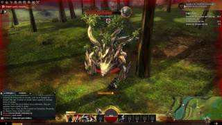 Guild Wars 2 Amd Fx 8320E Gtx 750 Tiultra Settings