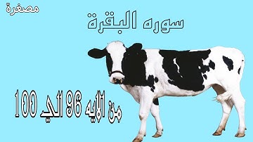 سوره البقرة | مصغرة |  من الايه 96 حتى الايه 100