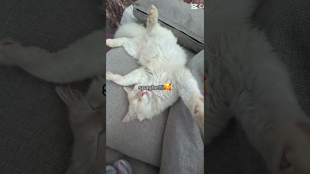 you already know who it isss COTTONNN 