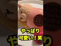 コンラッド東京で可愛すぎるティラミス、結局食べた🐻