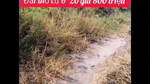 (Đã bán) Bán đất thổ cư ấp Thanh Ba xã Mỹ Lộc huyện Cần Giuộc tỉnh LONG AN