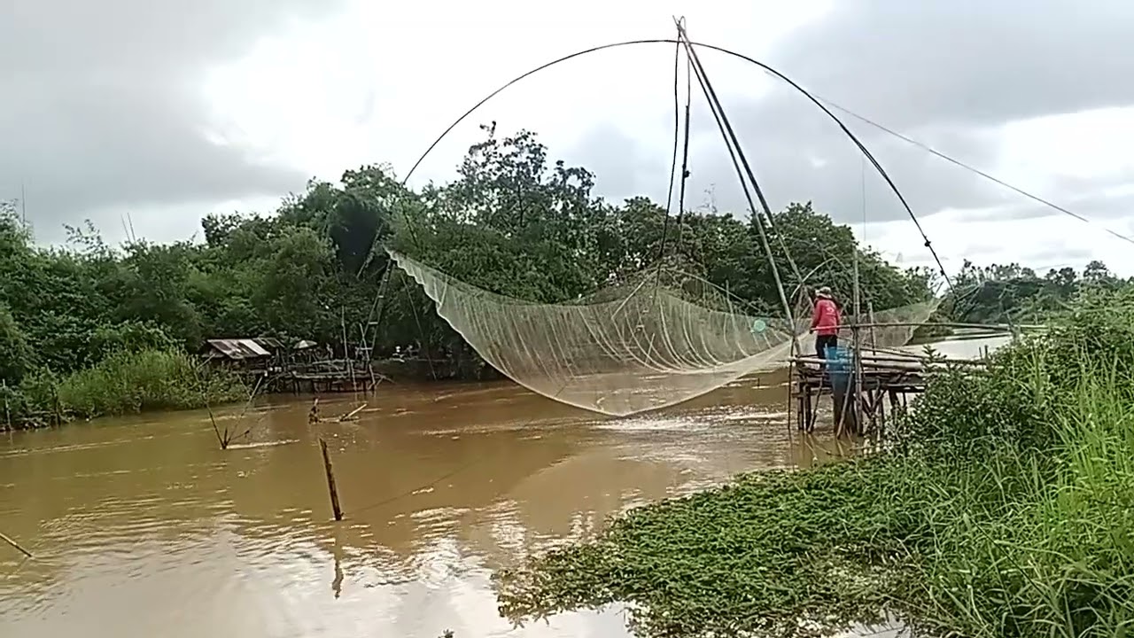 หาอยู่หากินแม่น้ำลำคลอง