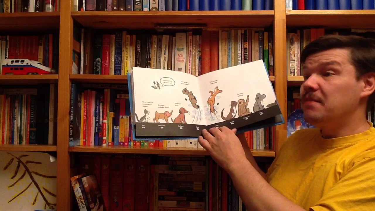 Томоко Омута. В очередь! Животные - YouTube