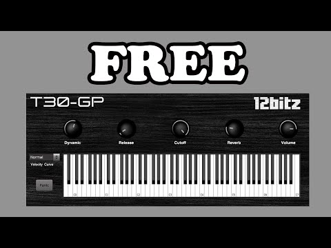 T30-GP video preview