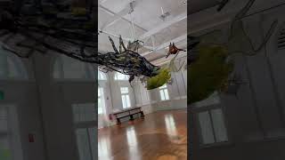 This Is Kinda Cringe