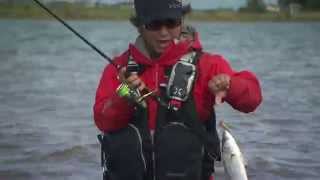 【釣り百景】#109 デイゲームで狙うランカーサイズ・秋のシーバスゲーム