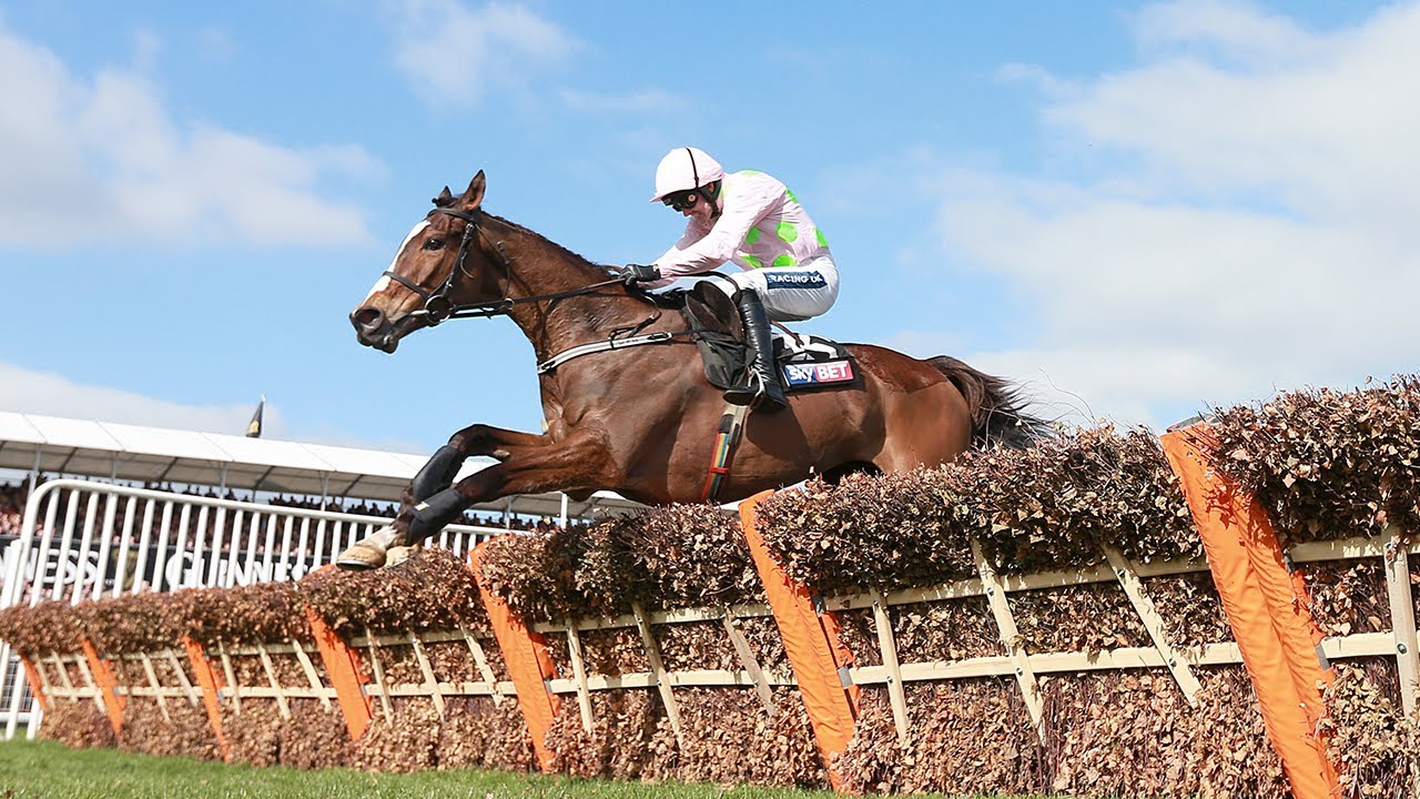 Cheltenham Festival 2014 Highlights