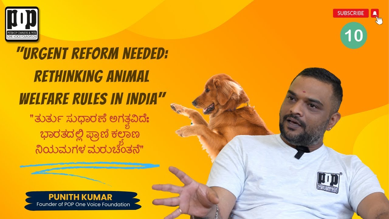 video-10-urgent-reform-needed-rethinking-animal-welfare-rules-in