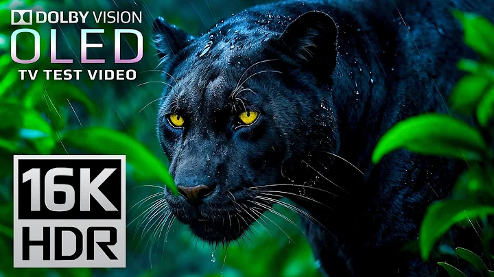 Ultimate 16K HDR Video 120 FPS | Dolby Vision OLED Test Demo