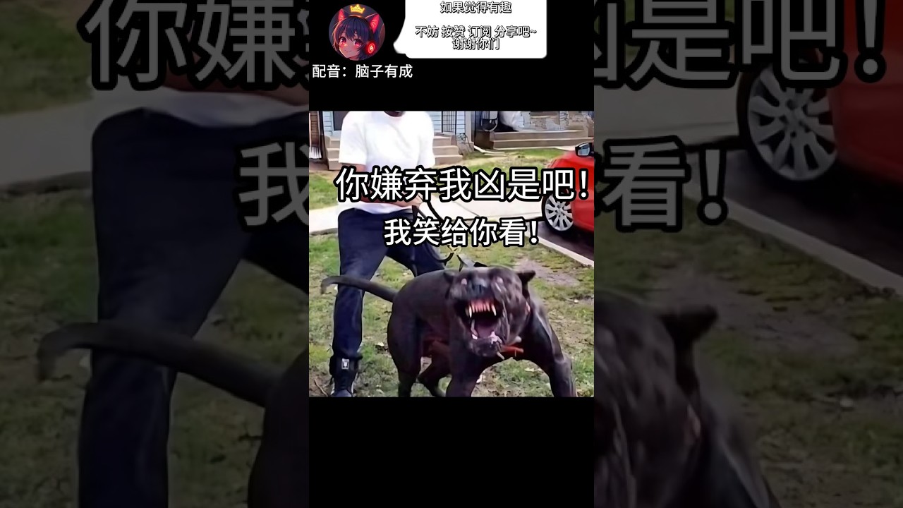 我狗太兇了！|梗圖 | 迷因 | 搞笑 | MYViki