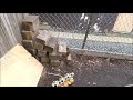 Beginning of video