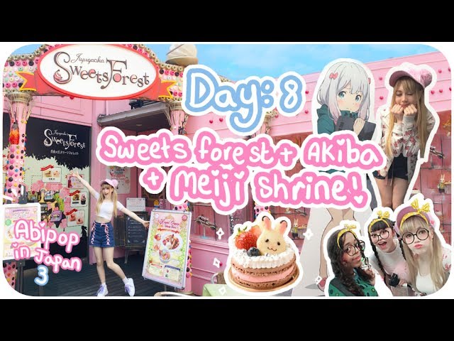 CUTE CAKES & WAIFUS!♪ | Day 8 - Sweets Forest, Meiji Shrine & Akiba! | Abipop in Japan 3 - 2017 ♡