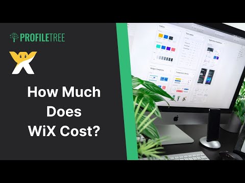 Vídeo: Quant costa fer un lloc web de Wix?