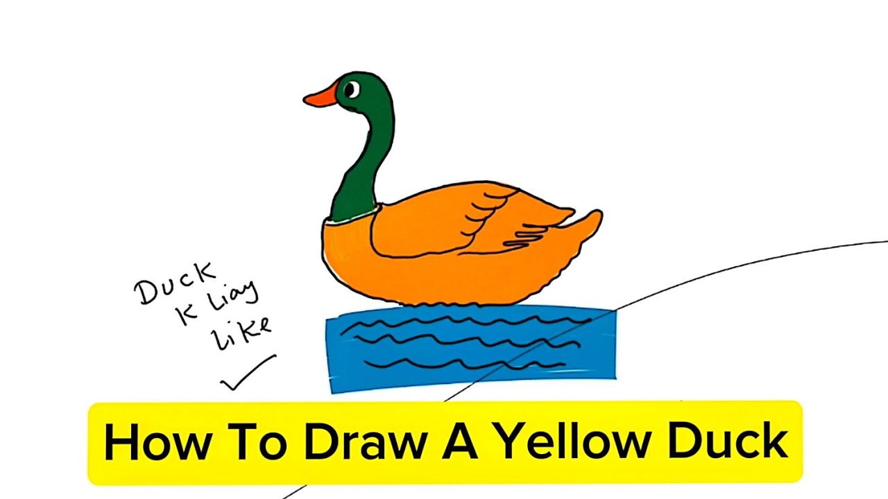 How to Draw a Yellow Duck Step by Step | yellow duck drawing | sketch of yellow duck