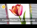 A Copic Marker Tulip