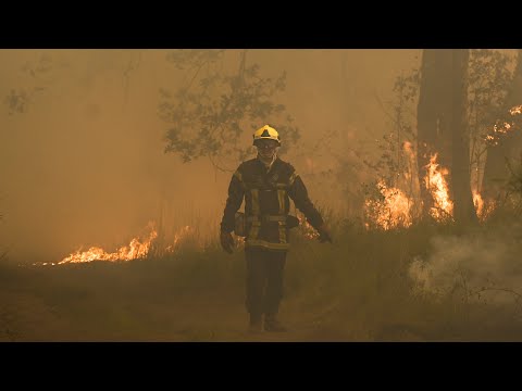 Deadly heatwave, massive wildfires engulf parts of Europe | CTV National News