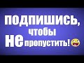 Музыкальная сценка-сказка к 23 февраля