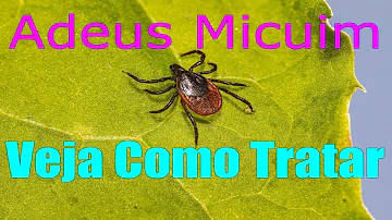 Quanto tempo dura a alergia da aroeira?